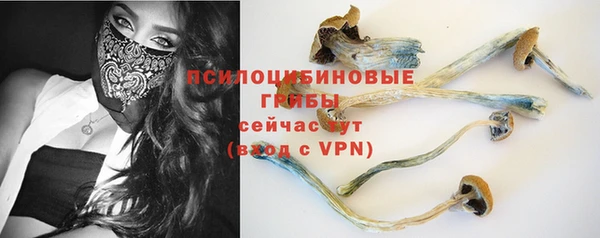 ПСИЛОЦИБИНОВЫЕ ГРИБЫ Балахна