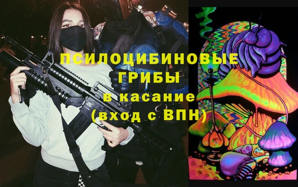 ПСИЛОЦИБИНОВЫЕ ГРИБЫ Балахна